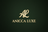 Anicca Luxe Logo - Green Background